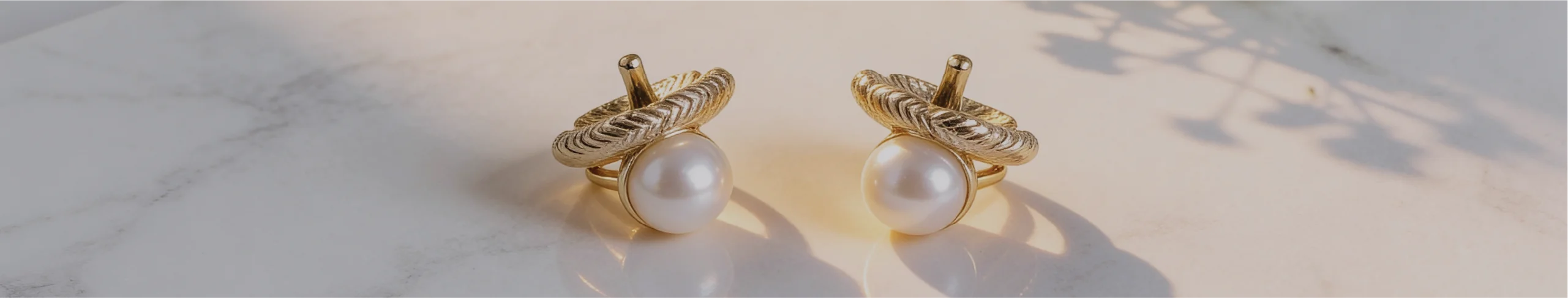 מחזיקי פנינה וחלקים